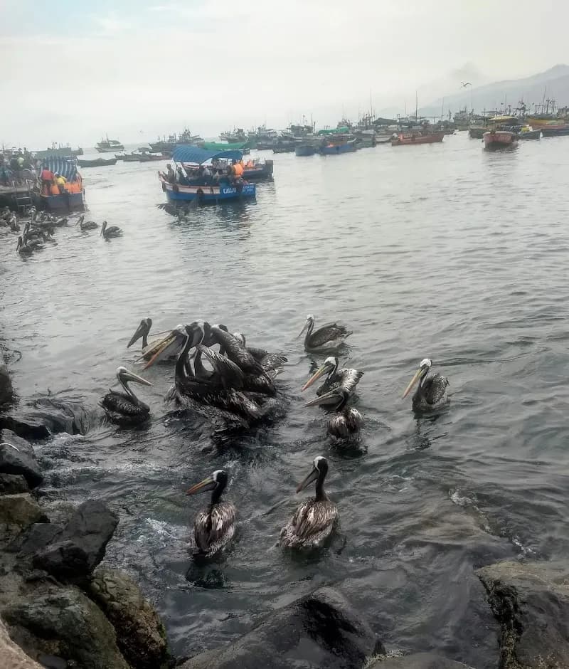 View of Restaurante El Peñol de Ancón in Ancón, Lima