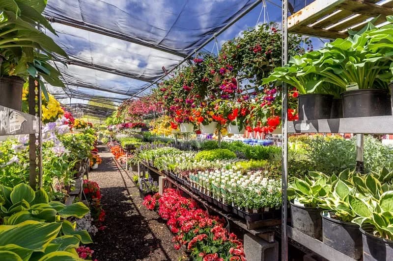View of Reston Farm Garden Market in Reston, VA
