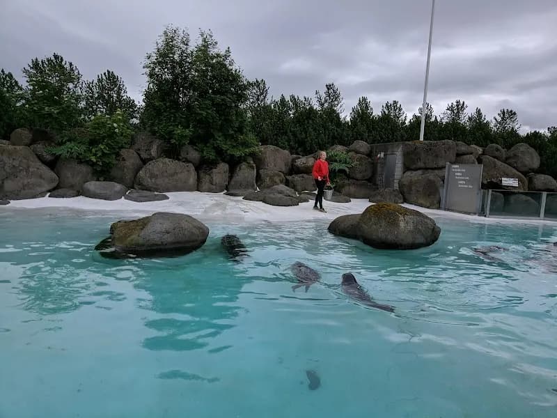Reykjavík Park and Zoo zoo in Reykjavik, RVK
