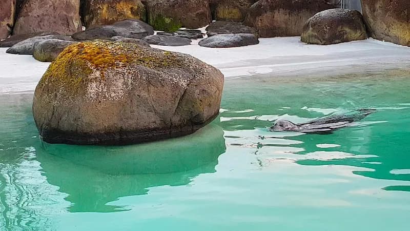 View of Reykjavík Park and Zoo in Reykjavik, RVK