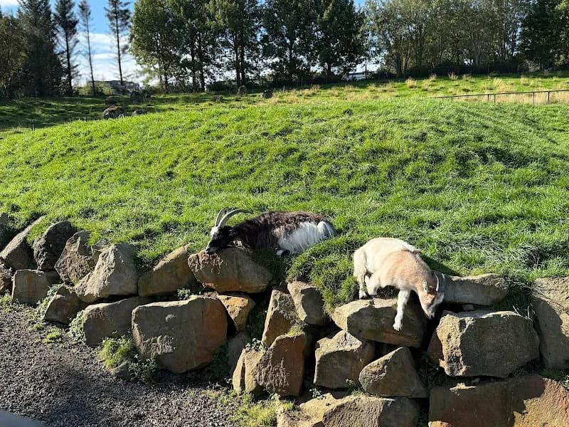 View of Reykjavík Park and Zoo in Reykjavik, RVK