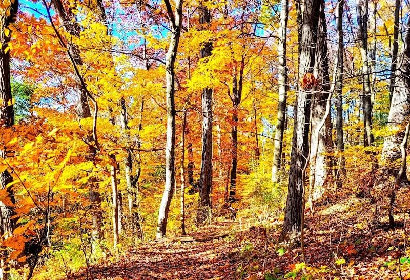 View of Riding Meadow Park in Fox Chapel, PA