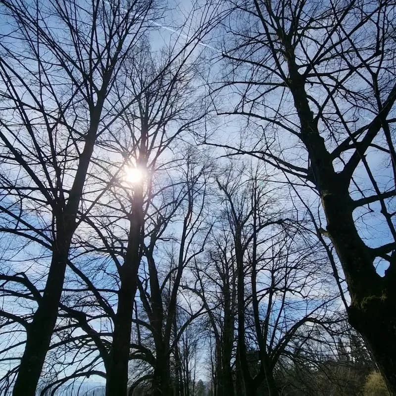 View of Rieterpark in Zurich, ZH
