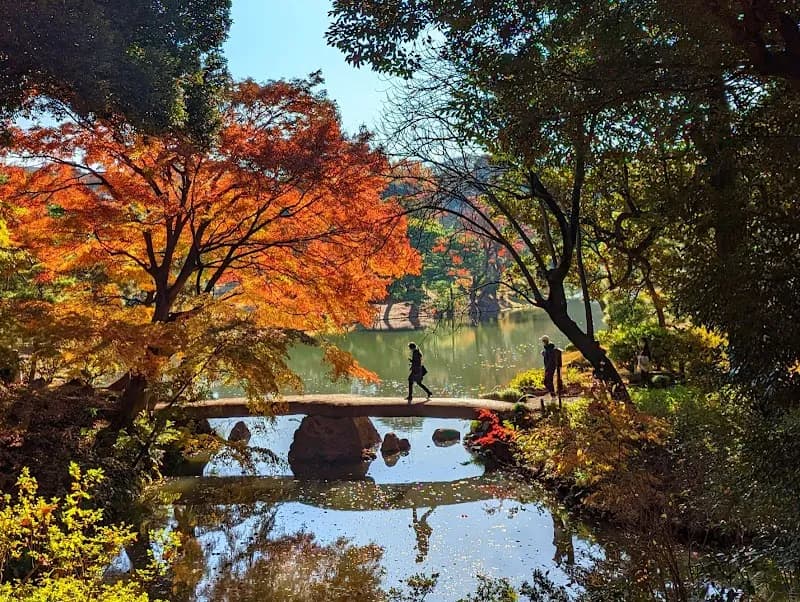 View of Rikugien Gardens in Tokyo, TK