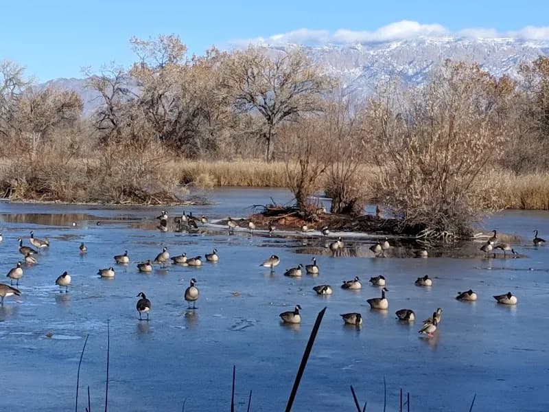 View of Rio Grande Nature Center State Park in Albuquerque, NM