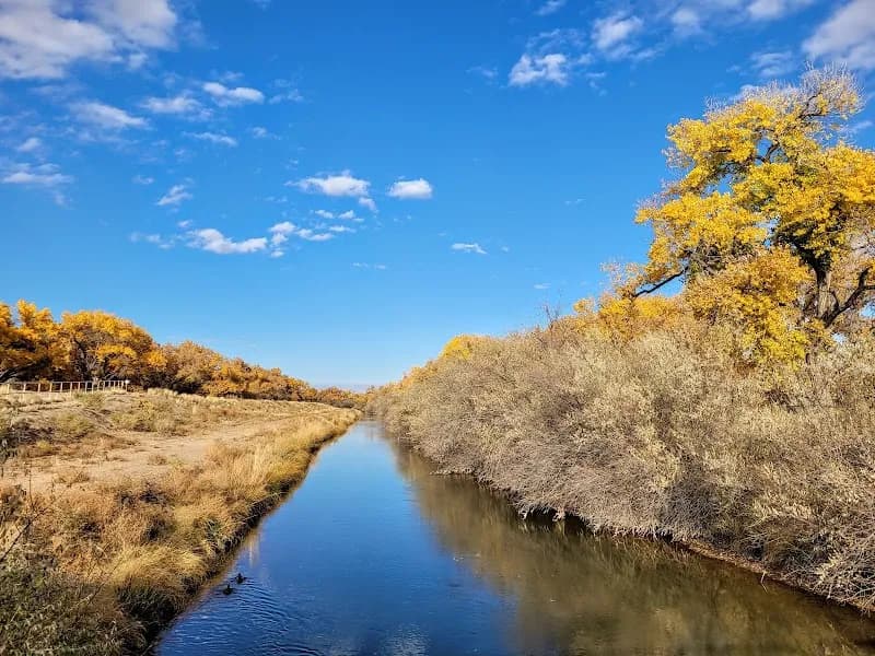 View of Rio Grande Nature Center State Park in Albuquerque, NM