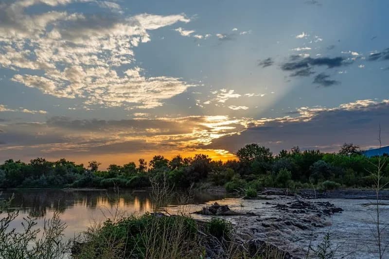 View of Rio Rancho/Corrales Bosque Preserve in Corrales, NM