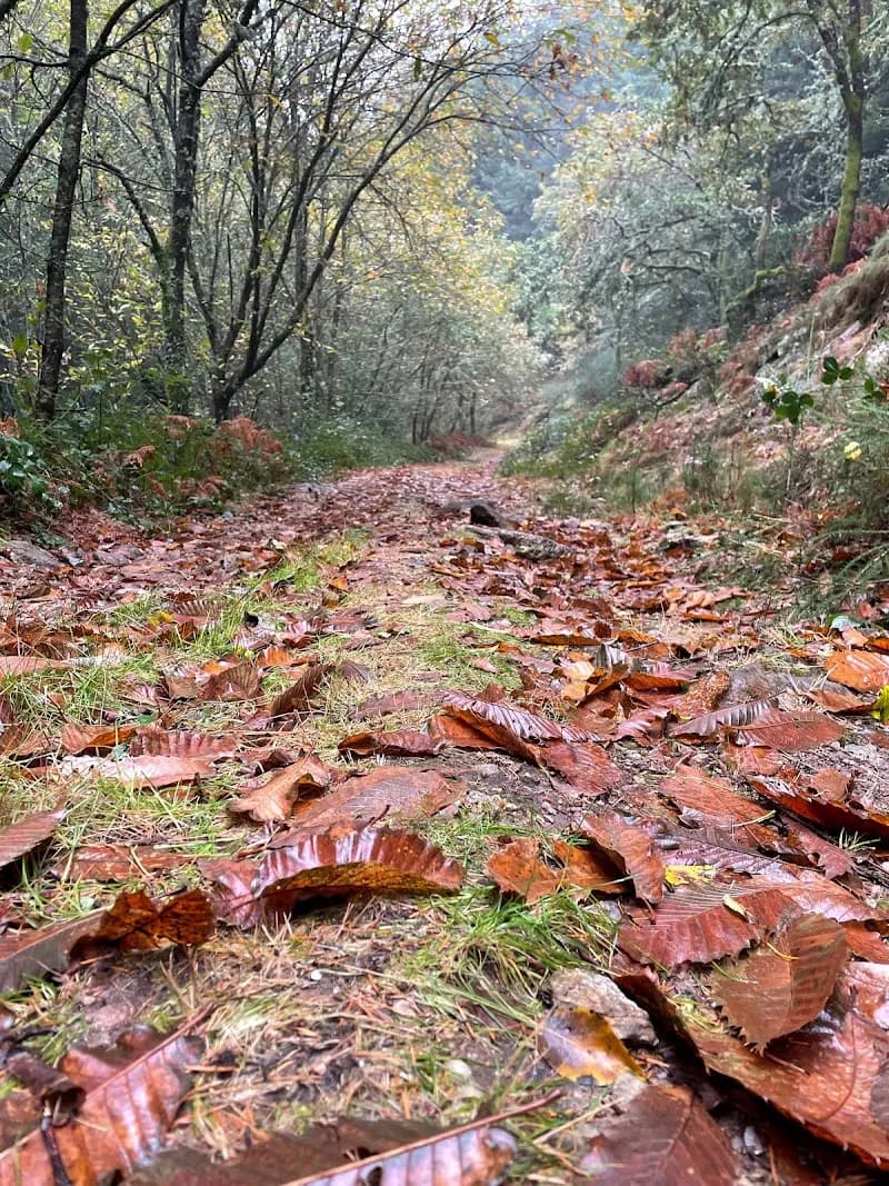 View of Rios & Trilhos Aventura Lda. in Grijó, Porto