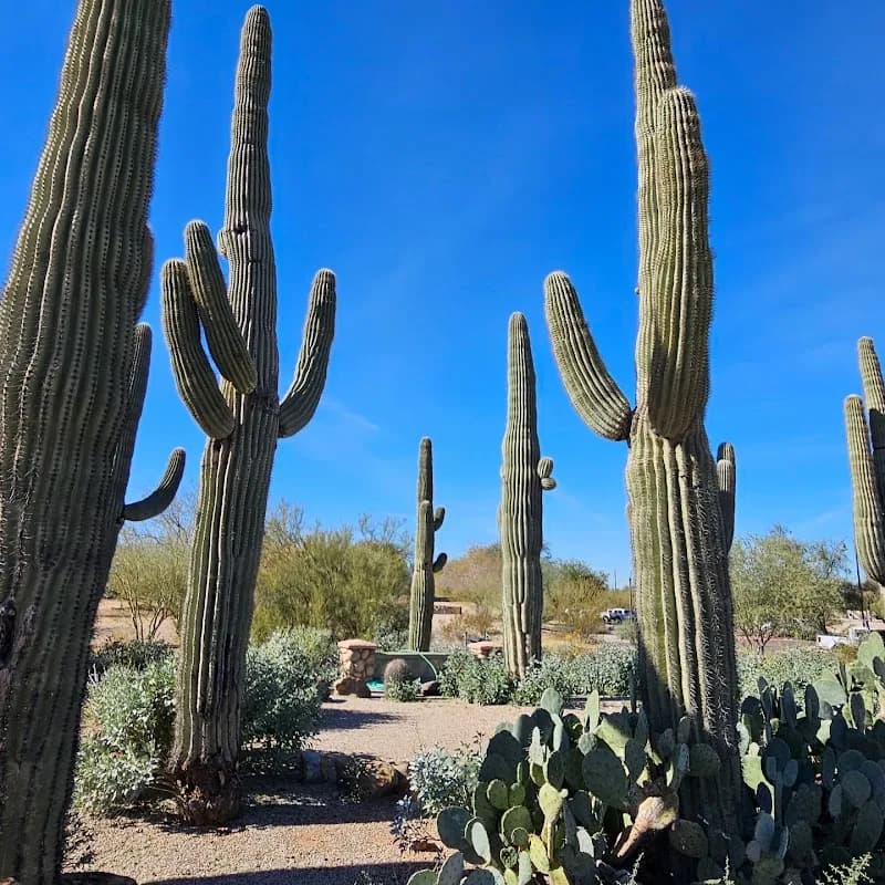 View of Riparian Preserve at Water Ranch in Gilbert, AZ