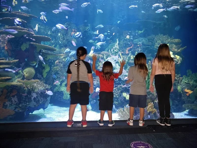 View of Ripley's Aquarium of Myrtle Beach in Myrtle Beach, SC