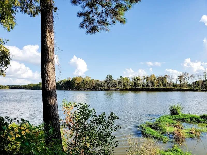 View of River Grove Park in Kingwood, TX