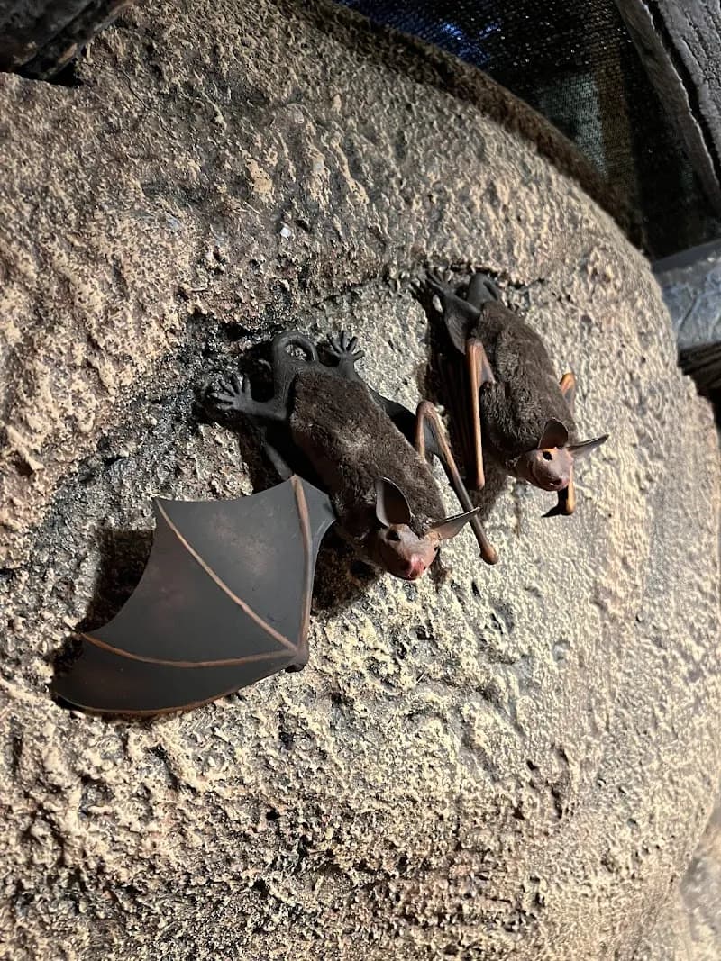 View of River of Time Museum & Exploration Center in Fountain Hills, AZ