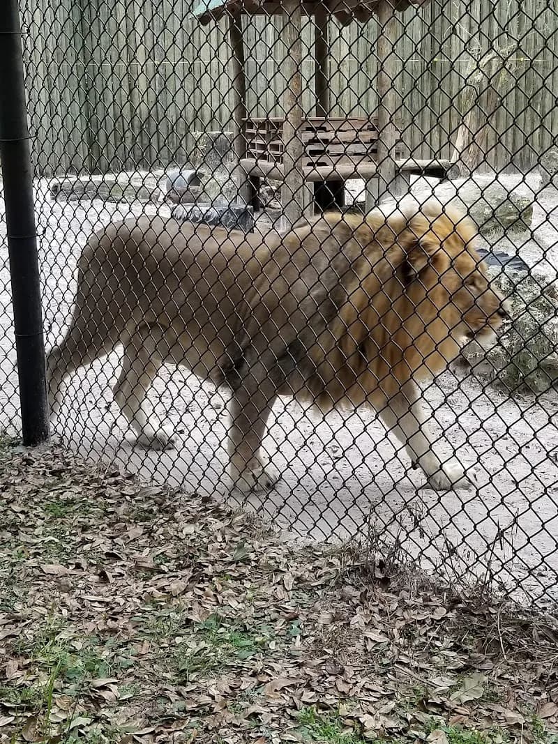 View of River Ranch Water Park in Ocala, FL