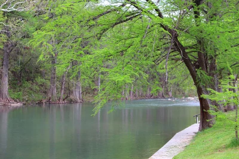 View of River Road Camp Inc in New Braunfels, TX