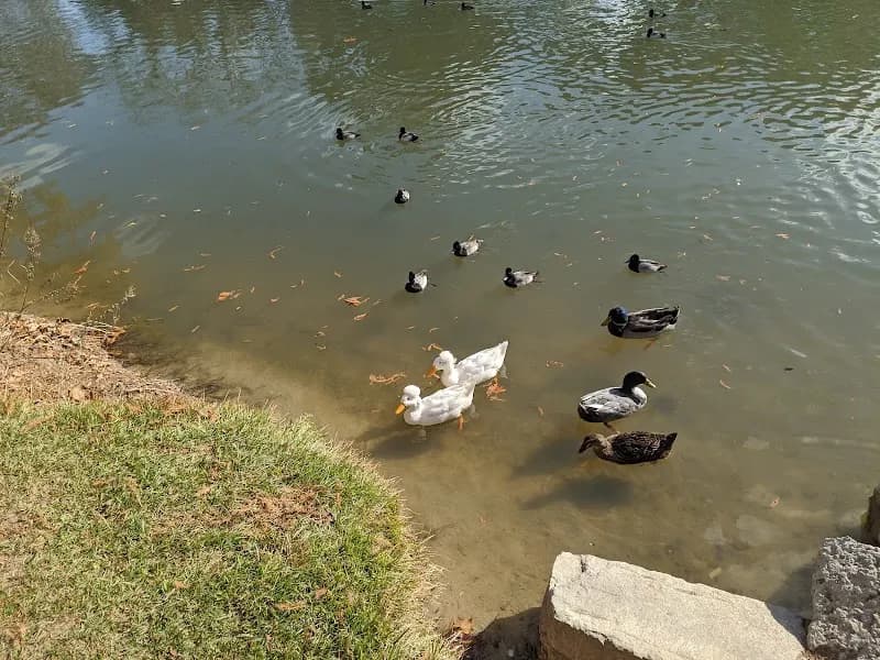 View of River Road Park in Boerne, TX