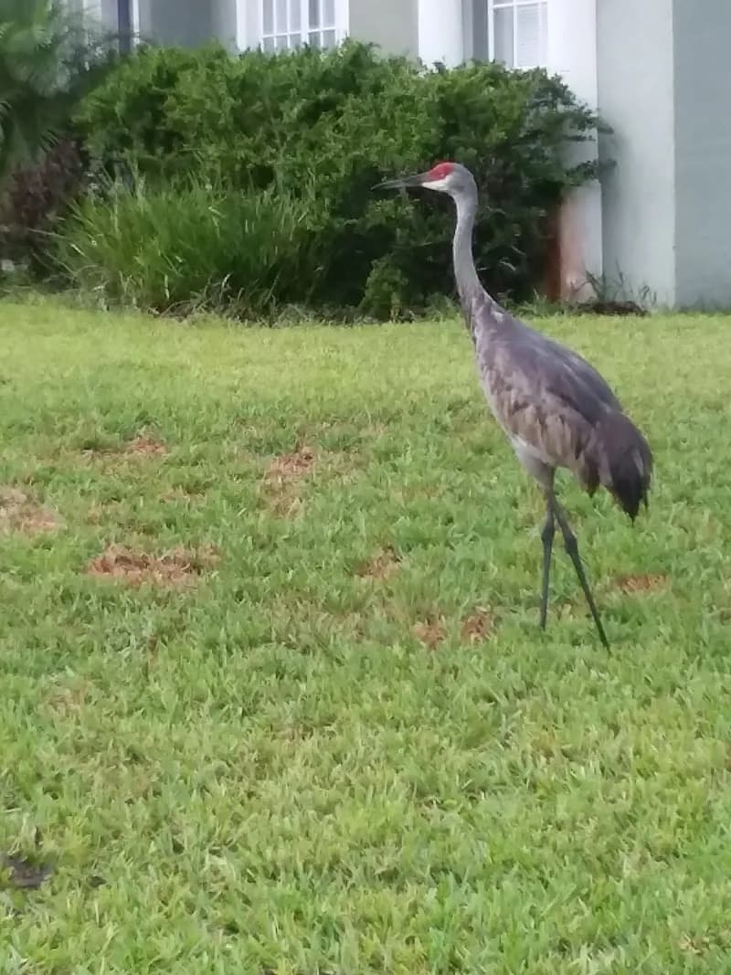 View of Riverside Community Park in Oviedo, FL