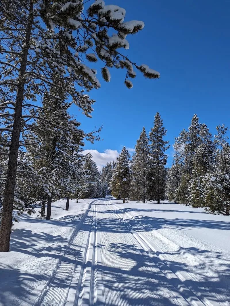 View of Riverside Ski Trails Trailhead (Wk9) in West Yellowstone, MT