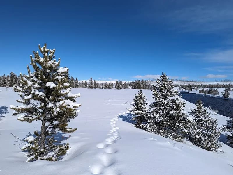 View of Riverside Ski Trails Trailhead (Wk9) in West Yellowstone, MT