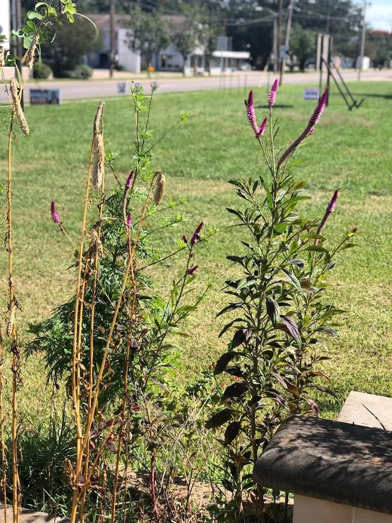 View of Rivertown in Kenner, LA