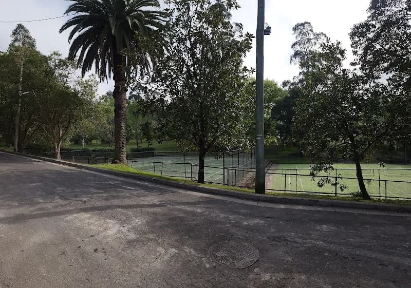 Robert Pymble Park Tennis Courts tennis court in Pymble, NSW