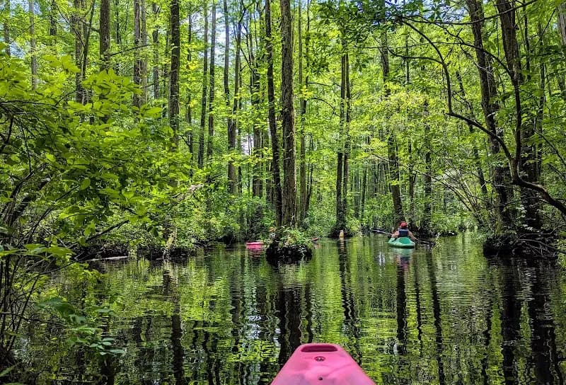 Robertson Millpond Preserve nature preserve in Knightdale, NC