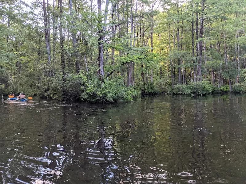 View of Robertson Millpond Preserve in Knightdale, NC