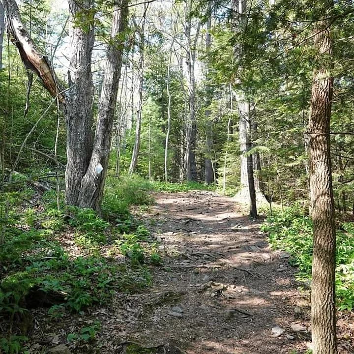 Robinson Woods Preserve nature preserve in Portland ME, ME