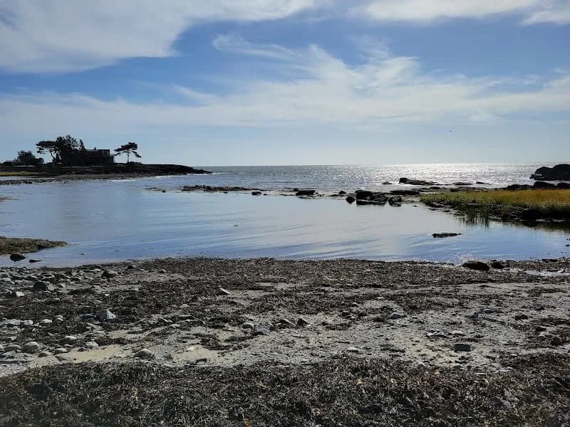 View of Robinson Woods Preserve in Portland ME, ME
