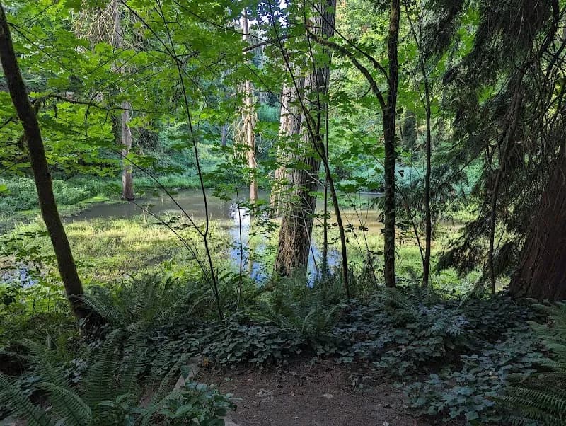 View of Robinwood Park in West Linn, OR