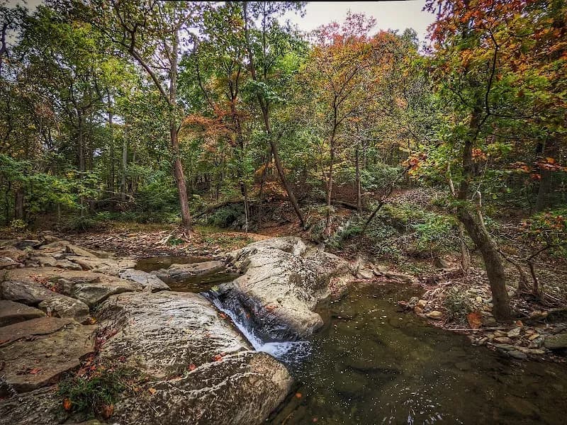View of Rock Creek Regional Park in Rockville, MD