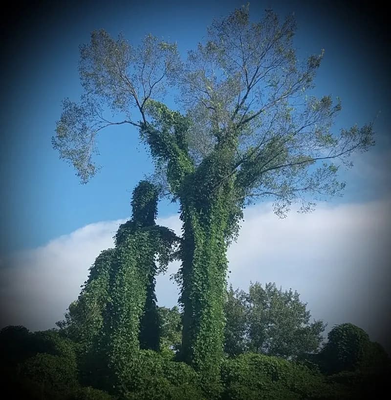 View of Rock Garden Park in Alcoa, TN