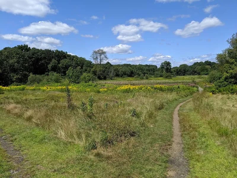 View of Rock Meadow Conservation Area in Belmont, MA
