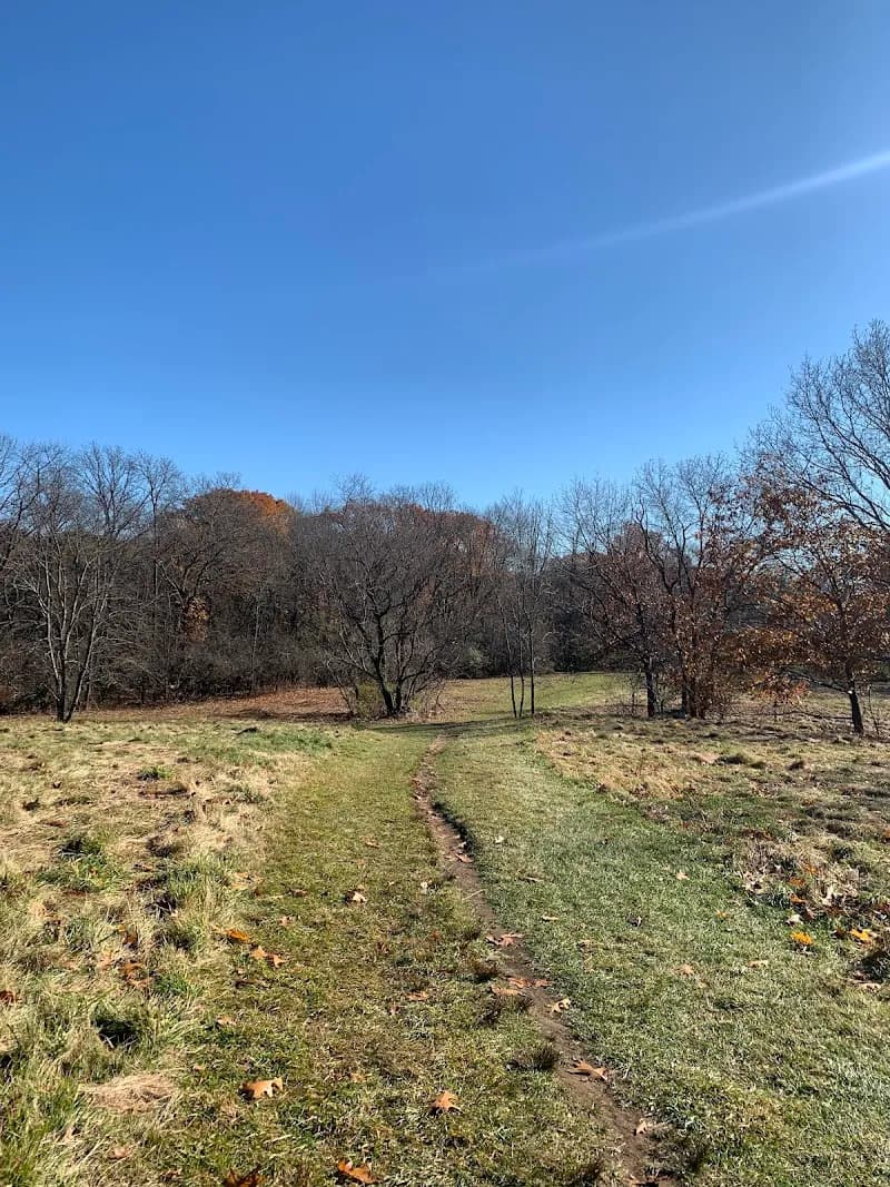 View of Rock Meadow Conservation Area in Belmont, MA
