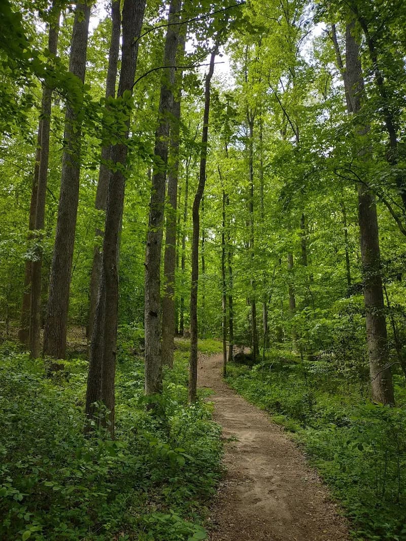 View of Rockwood Park in Midlothian, VA