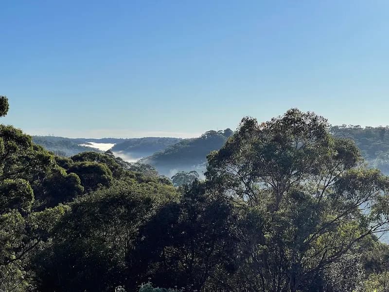 View of Rofe Park in Hornsby, NSW