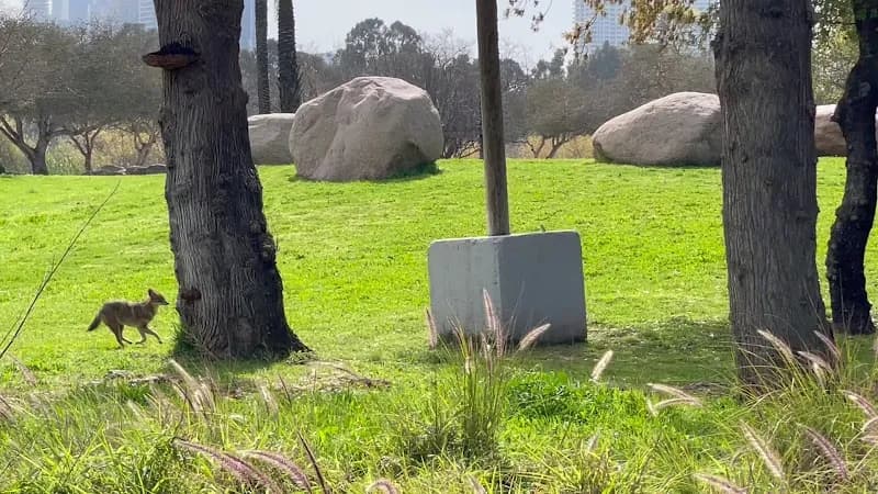 View of Rokefeller Garden in Tel Aviv, TA