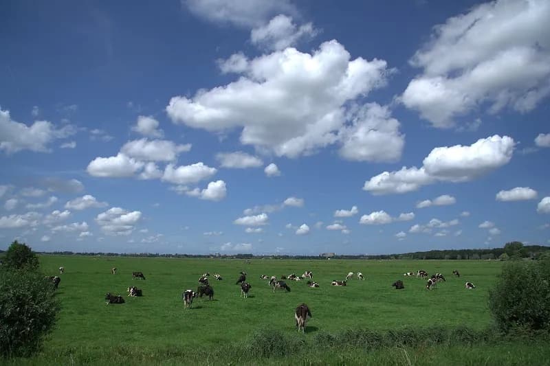 View of Rondehoep in Ouder-Amstel, NH