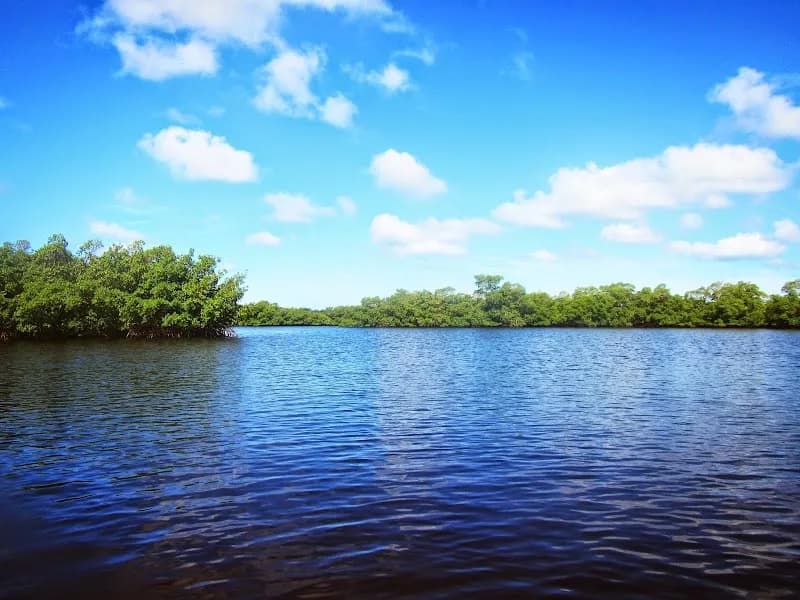 Rookery Bay Environmental Learning Center nature preserve in Naples, FL