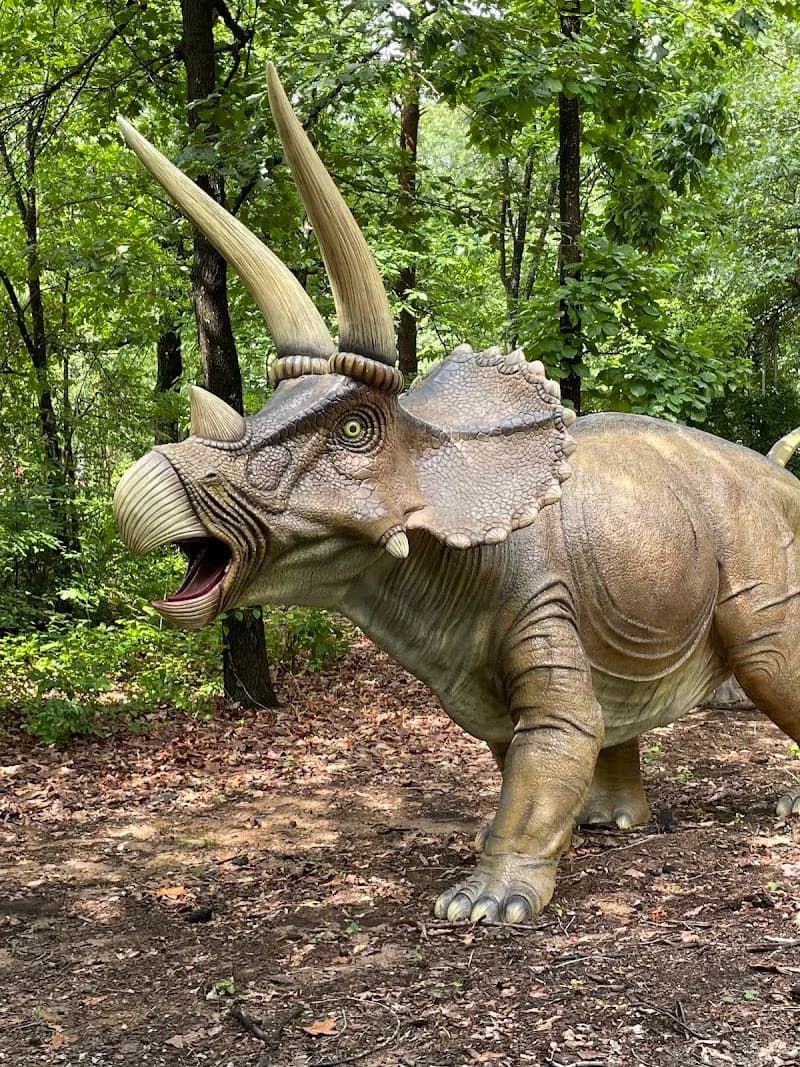 View of Roper Mountain Science Center in Greenville, SC