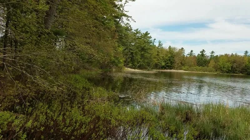 View of Roscommon State Forest Area in Roscommon, MI