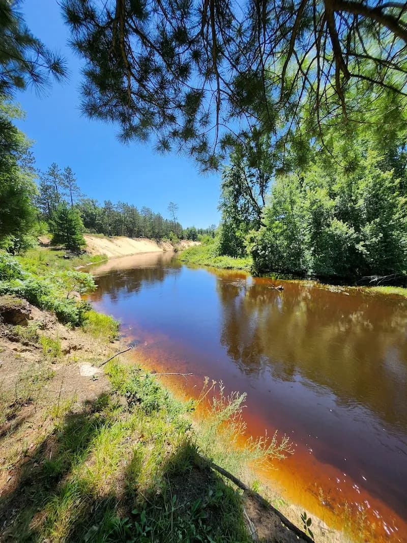 View of Roscommon State Forest Area in Roscommon, MI