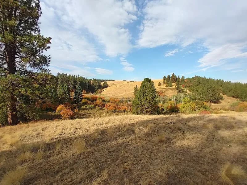Rose Creek Nature Preserve park in Pullman, WA