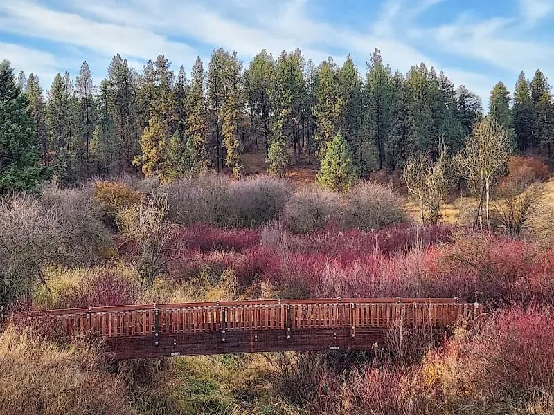 View of Rose Creek Nature Preserve in Pullman, WA