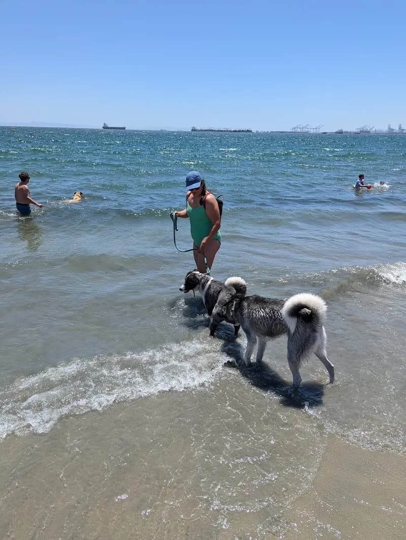 View of Rosie's Dog Beach in Long Beach, CA