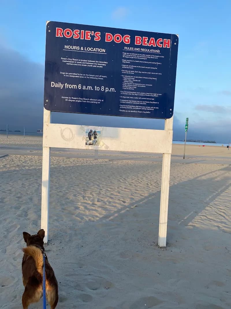 View of Rosie's Dog Beach in Long Beach, CA