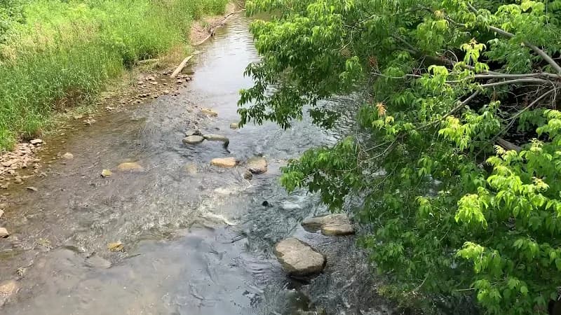 View of Rouge River Park in Markham, ON