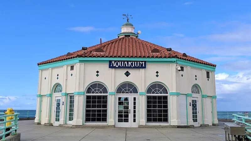 Roundhouse Aquarium aquarium in Manhattan Beach, CA