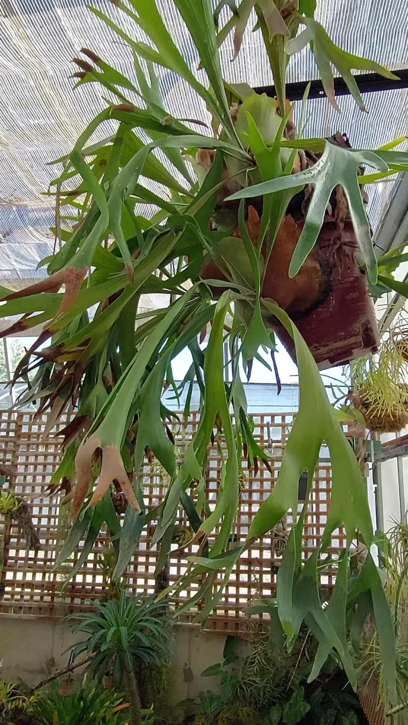 View of Royal Botanic Garden Juan Carlos I in Alcalá de Henares, Madrid