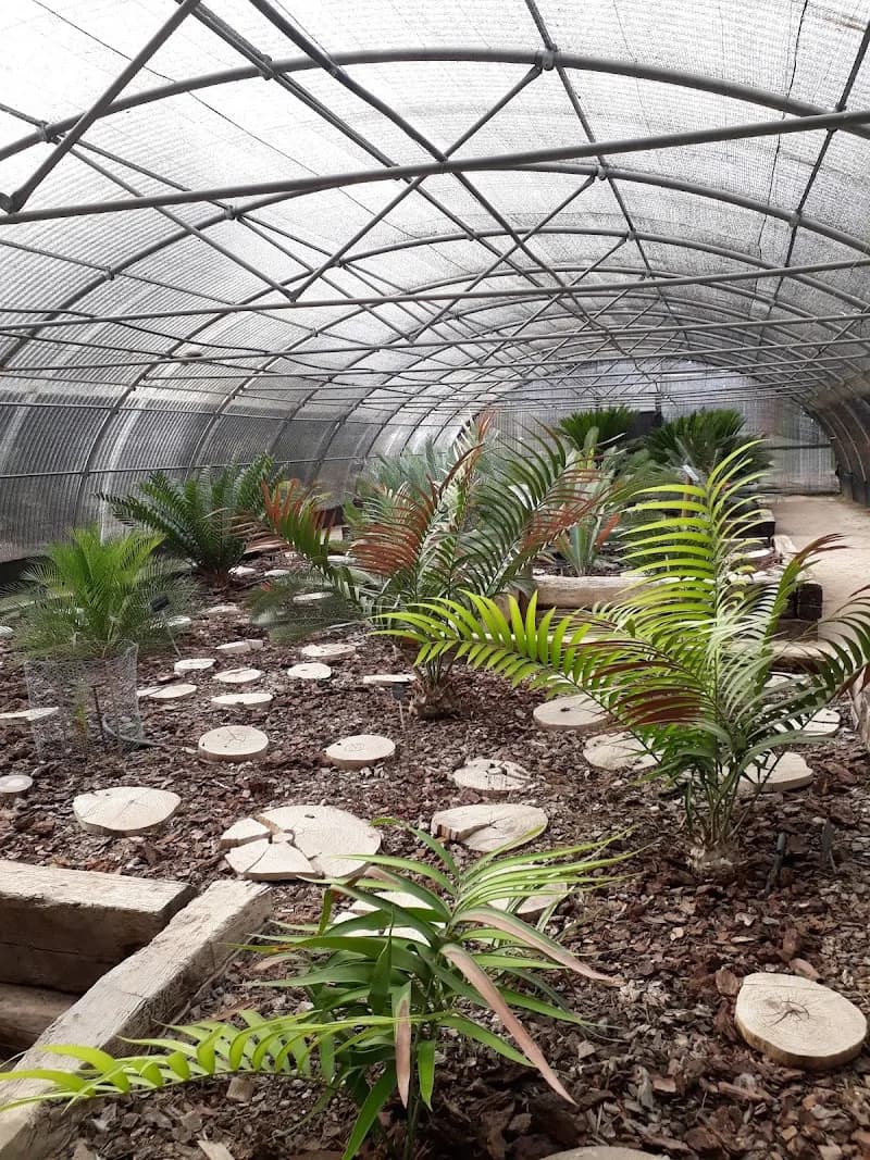 View of Royal Botanic Garden Juan Carlos I in Alcalá de Henares, Madrid