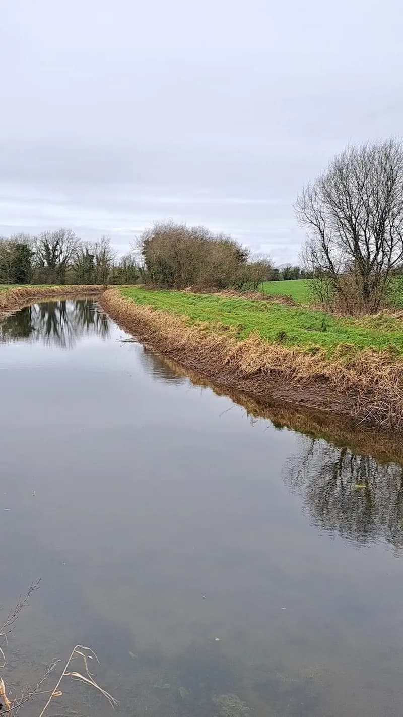 View of Royal Canal Greenway in Naas, D